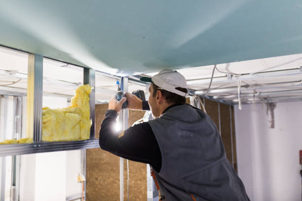 Best Insulation Inspection Services  in Lebanon South, PA
