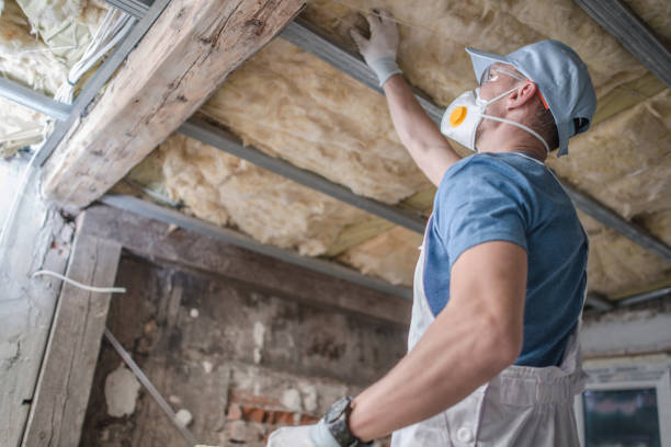 Best Insulation Removal  in Lebanon South, PA