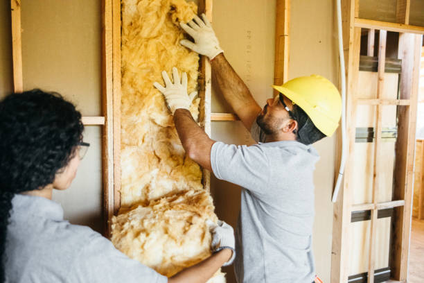 Best Professional Insulation Contractor  in Lebanon South, PA